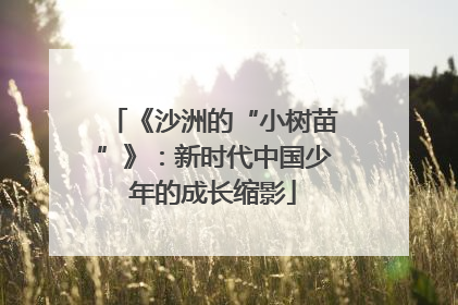《沙洲的“小树苗”》：新时代中国少年的成长缩影