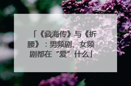 《藏海传》与《折腰》：男频剧、女频剧都在“爱”什么