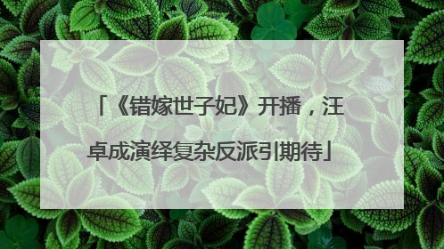 《错嫁世子妃》开播，汪卓成演绎复杂反派引期待
