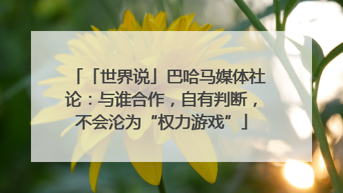 「世界说」巴哈马媒体社论：与谁合作，自有判断，不会沦为“权力游戏”