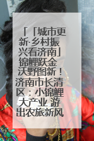 「城市更新·乡村振兴看济南」锦鲤跃金 沃野图新！济南市长清区：小锦鲤大产业 游出农旅新风景