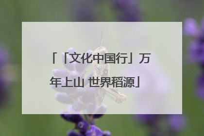 「文化中国行」万年上山 世界稻源