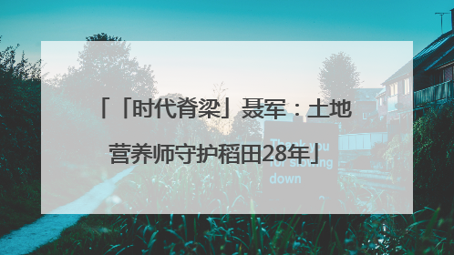 「时代脊梁」聂军：土地营养师守护稻田28年