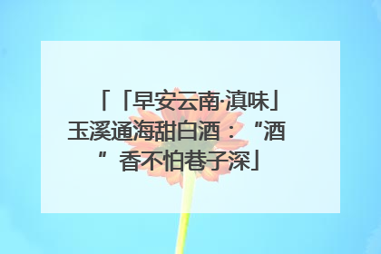 「早安云南·滇味」玉溪通海甜白酒：“酒”香不怕巷子深