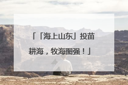「海上山东」投苗耕海，牧海图强！