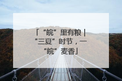 “皖”里有粮｜“三夏”时节，一“皖”麦香