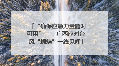 “确保应急力量随时可用”——广西应对台风“蝴蝶”一线见闻