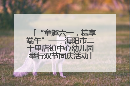 “童趣六一，粽享端午”——海阳市二十里店镇中心幼儿园举行双节同庆活动