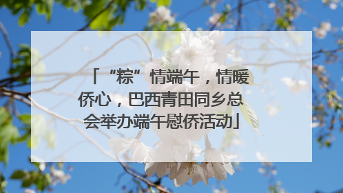 “粽”情端午，情暖侨心，巴西青田同乡总会举办端午慰侨活动