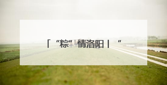 “粽”情洛阳丨“艾”在伊滨 “粽”享露营 端午主题文明实践活动启动