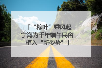 “粽叶”乘风起 宁海为千年端午民俗植入“新姿势”
