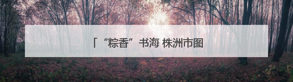 “粽香”书海 株洲市图书馆端午活动精彩纷呈
