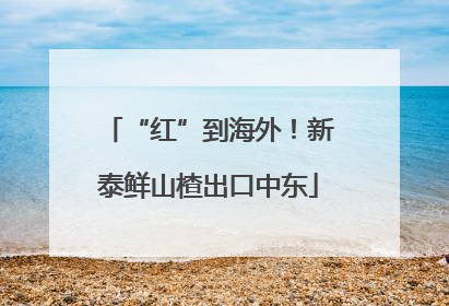 “红”到海外！新泰鲜山楂出口中东