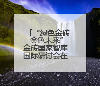 “绿色金砖 金色未来”金砖国家智库国际研讨会在京举行