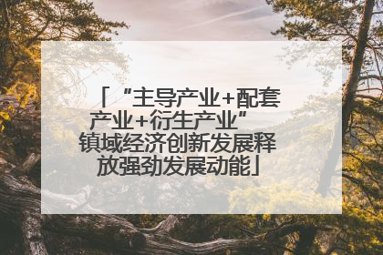 “主导产业+配套产业+衍生产业” 镇域经济创新发展释放强劲发展动能