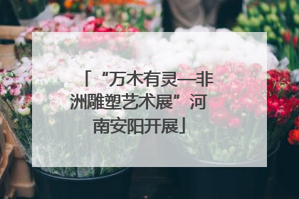 “万木有灵—非洲雕塑艺术展”河南安阳开展