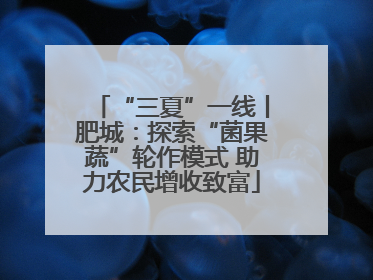 “三夏”一线丨肥城：探索“菌果蔬”轮作模式 助力农民增收致富