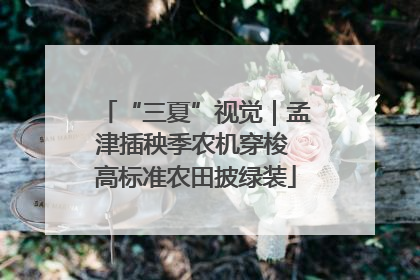 “三夏”视觉｜孟津插秧季农机穿梭 高标准农田披绿装