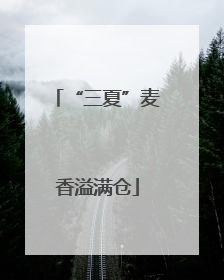 “三夏”麦香溢满仓