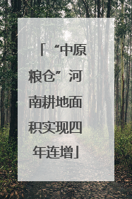 “中原粮仓”河南耕地面积实现四年连增