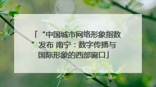 “中国城市网络形象指数”发布 南宁：数字传播与国际形象的西部窗口