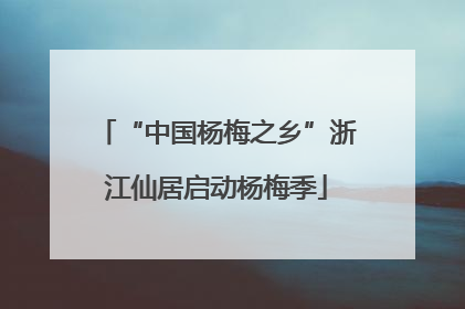 “中国杨梅之乡”浙江仙居启动杨梅季