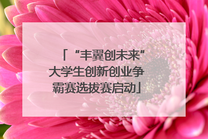 “丰翼创未来”大学生创新创业争霸赛选拔赛启动