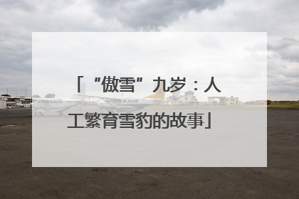 “傲雪”九岁：人工繁育雪豹的故事