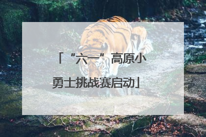 “六一”高原小勇士挑战赛启动
