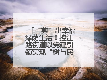 “剪”出幸福绿荫生活！控江路街道以党建引领实现“树与民”双向奔赴