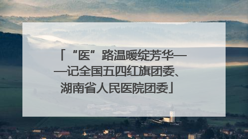 “医”路温暖绽芳华——记全国五四红旗团委、湖南省人民医院团委