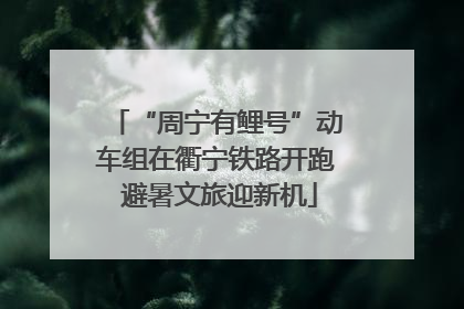 “周宁有鲤号”动车组在衢宁铁路开跑 避暑文旅迎新机