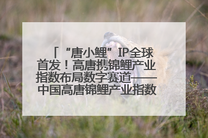 “唐小鲤”IP全球首发！高唐携锦鲤产业指数布局数字赛道——中国高唐锦鲤产业指数暨“唐小鲤”IP全球首发仪式在杭州举行