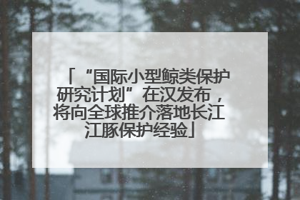 “国际小型鲸类保护研究计划”在汉发布，将向全球推介落地长江江豚保护经验