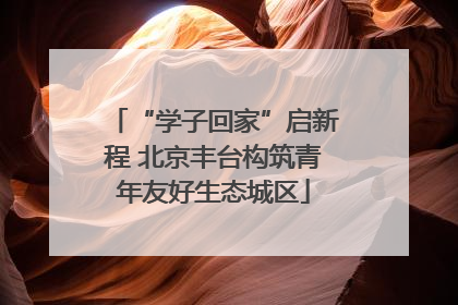 “学子回家”启新程 北京丰台构筑青年友好生态城区
