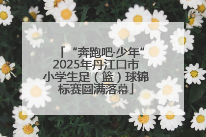 “奔跑吧·少年”2025年丹江口市小学生足（篮）球锦标赛圆满落幕