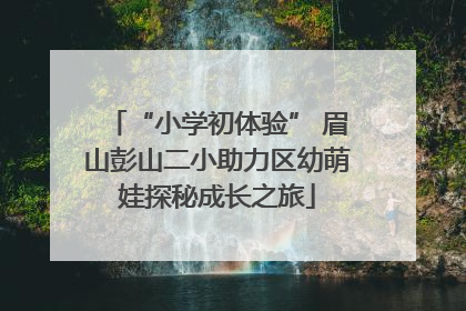 “小学初体验” 眉山彭山二小助力区幼萌娃探秘成长之旅