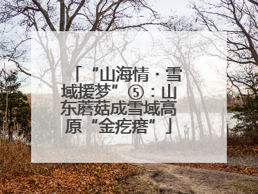 “山海情・雪域援梦”⑤：山东蘑菇成雪域高原“金疙瘩”
