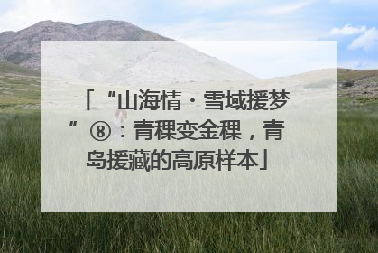 “山海情・雪域援梦”⑧：青稞变金稞，青岛援藏的高原样本