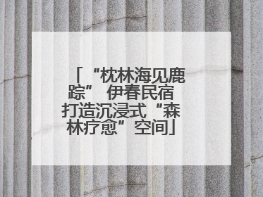 “枕林海见鹿踪” 伊春民宿打造沉浸式“森林疗愈”空间