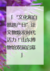 “文化和自然遗产日”让文物焕发时代活力！山东博物馆双展启幕