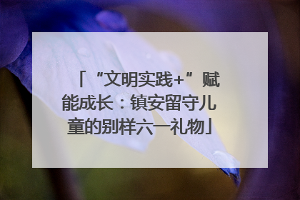 “文明实践+”赋能成长：镇安留守儿童的别样六一礼物