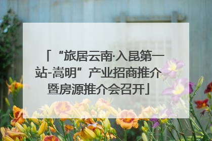 “旅居云南·入昆第一站-嵩明”产业招商推介暨房源推介会召开