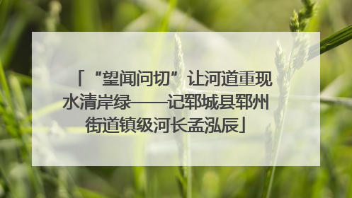 “望闻问切”让河道重现水清岸绿——记郓城县郓州街道镇级河长孟泓辰