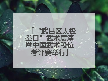 “武昌区太极拳日”武术展演暨中国武术段位考评赛举行