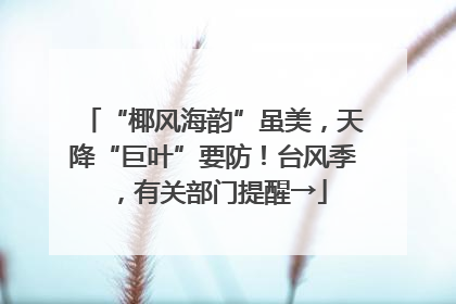 “椰风海韵”虽美，天降“巨叶”要防！台风季，有关部门提醒→