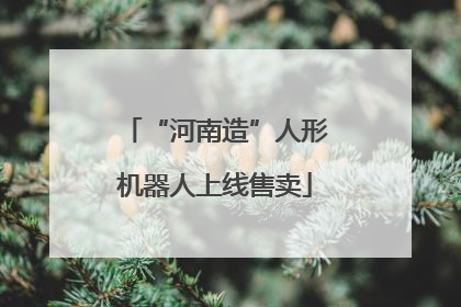 “河南造”人形机器人上线售卖