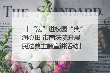 “法”进校园“典”润心田 市南法院开展民法典主题宣讲活动