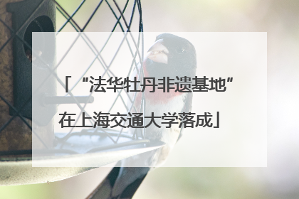 “法华牡丹非遗基地”在上海交通大学落成