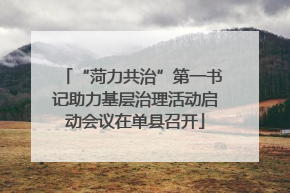 “菏力共治”第一书记助力基层治理活动启动会议在单县召开